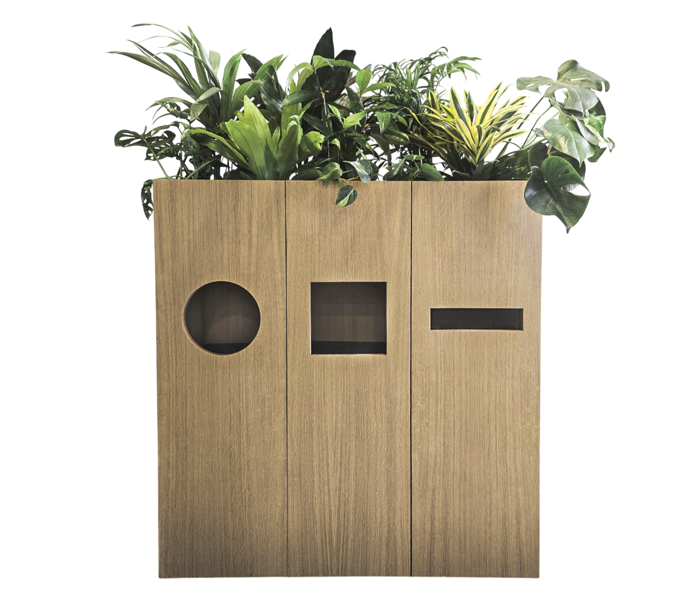 ThreeBox - Poubelle végétalisée